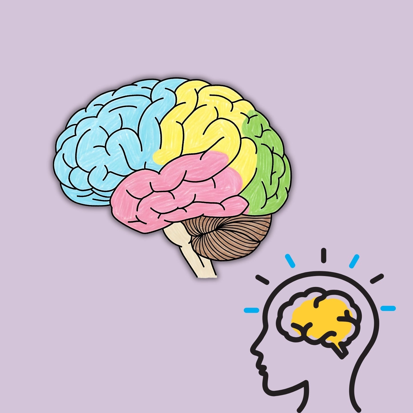 Gedächtnis, Kognitive Leistung