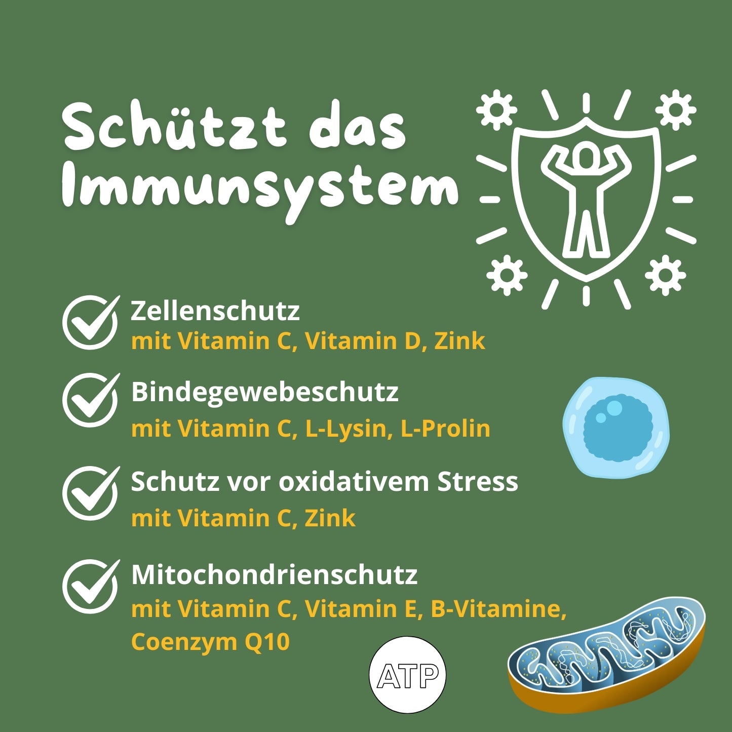 Premium All in One Komplex-Multivitamin-Shot - 500ml