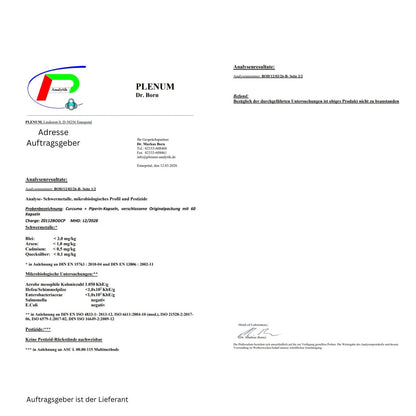 Curcumin + Piperin - 60 vegane Kapseln